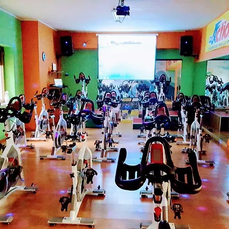 Central Apartments 4*